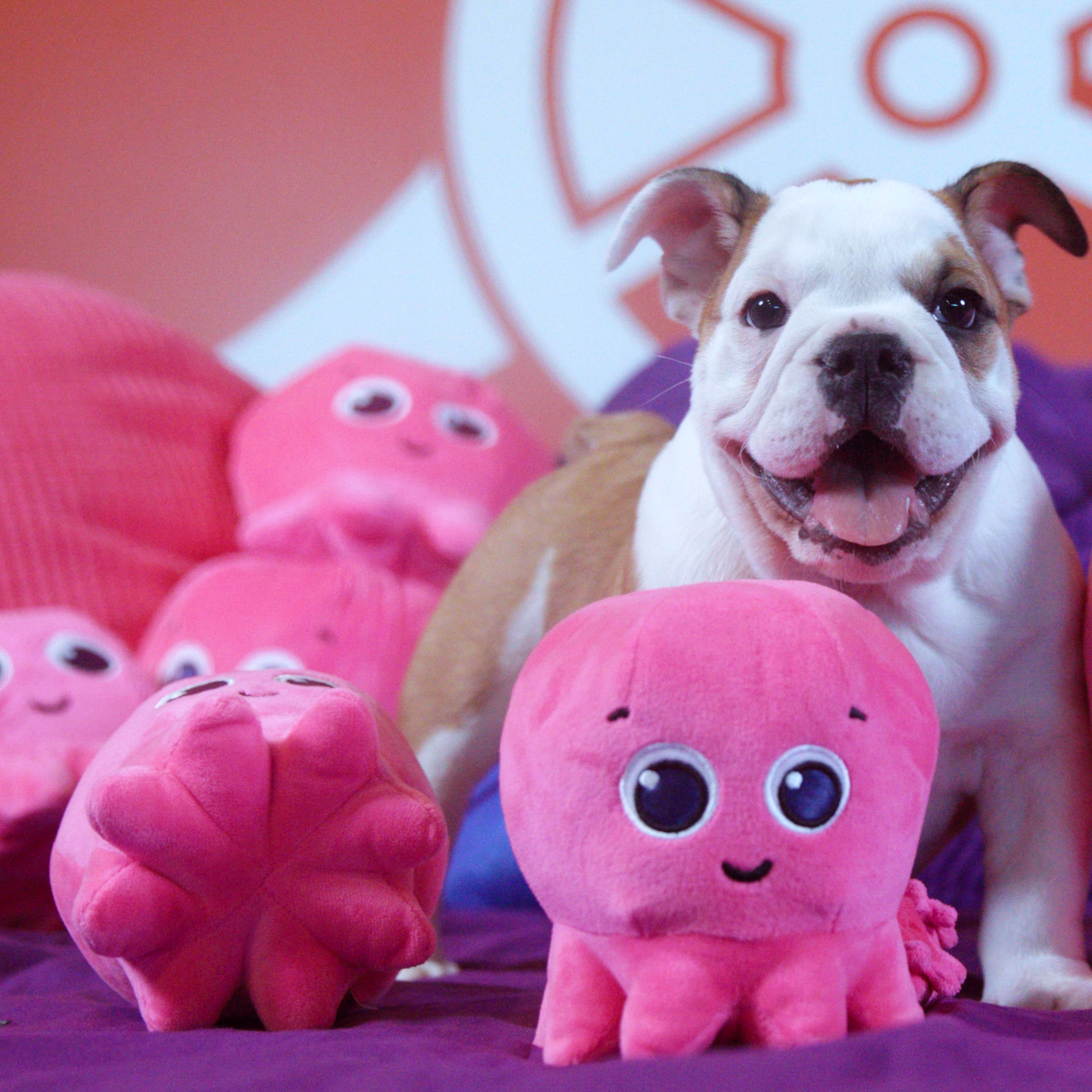 Squeaky Puptopus Toy