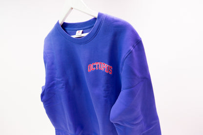 Alpha Octo Pi -  The Varsity Sweatshirt