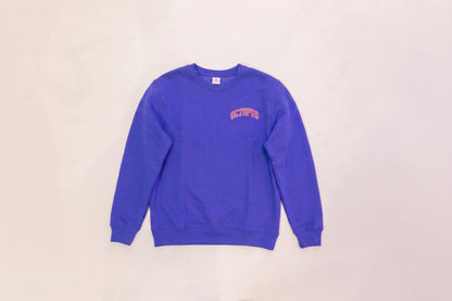Alpha Octo Pi -  The Varsity Sweatshirt