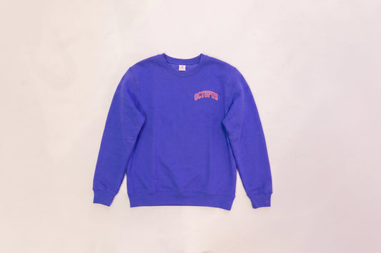 Alpha Octo Pi -  The Varsity Sweatshirt