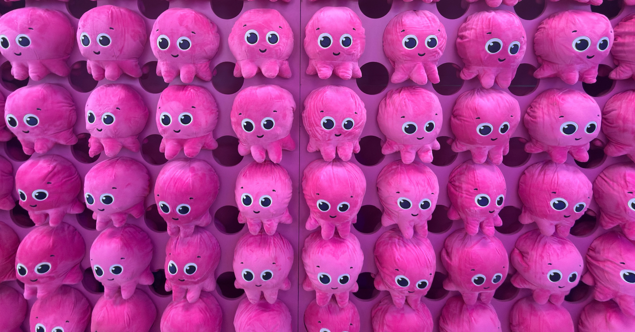 Shop the merch – Shoptopus